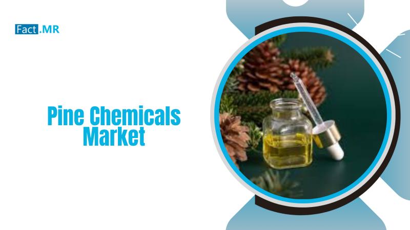 Pine Chemicals Industry Set to Soar to US$ 28.2 Billion by 2035 | Fact.MR Report