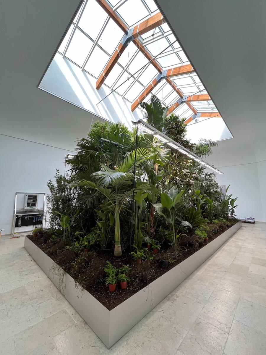 Vaisala CO2 sensors show trees’ ability to manage indoor environments at Biennale di Venezia exhibition