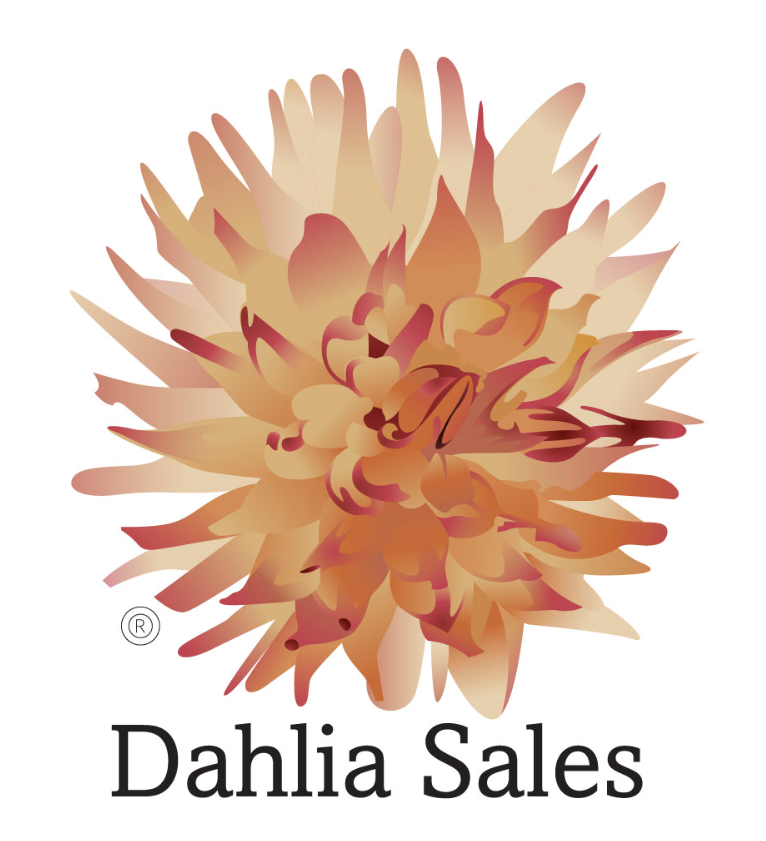 Dahliasales.com and CYBA Launch AI Best Practice Series for Marine Industry Professionals