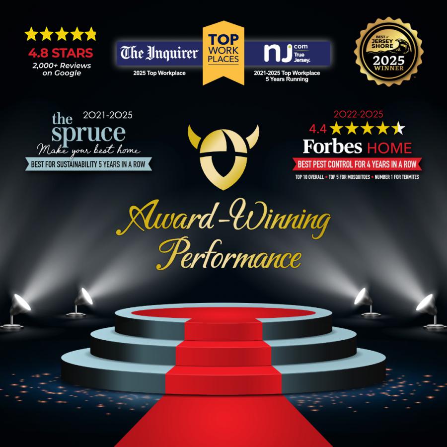 Viking Pest Control Earns 2025 Top Workplace Honors