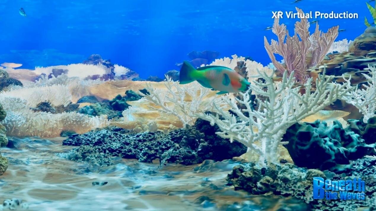 Coral Reefs in Crisis: South China Sea Communities Confront Climate, Bleaching, and Misinformation