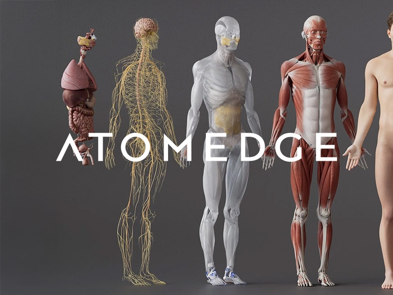 Atom Edge Wins Xero Beautiful Business Fund for Innovative 3D Anatomy Model