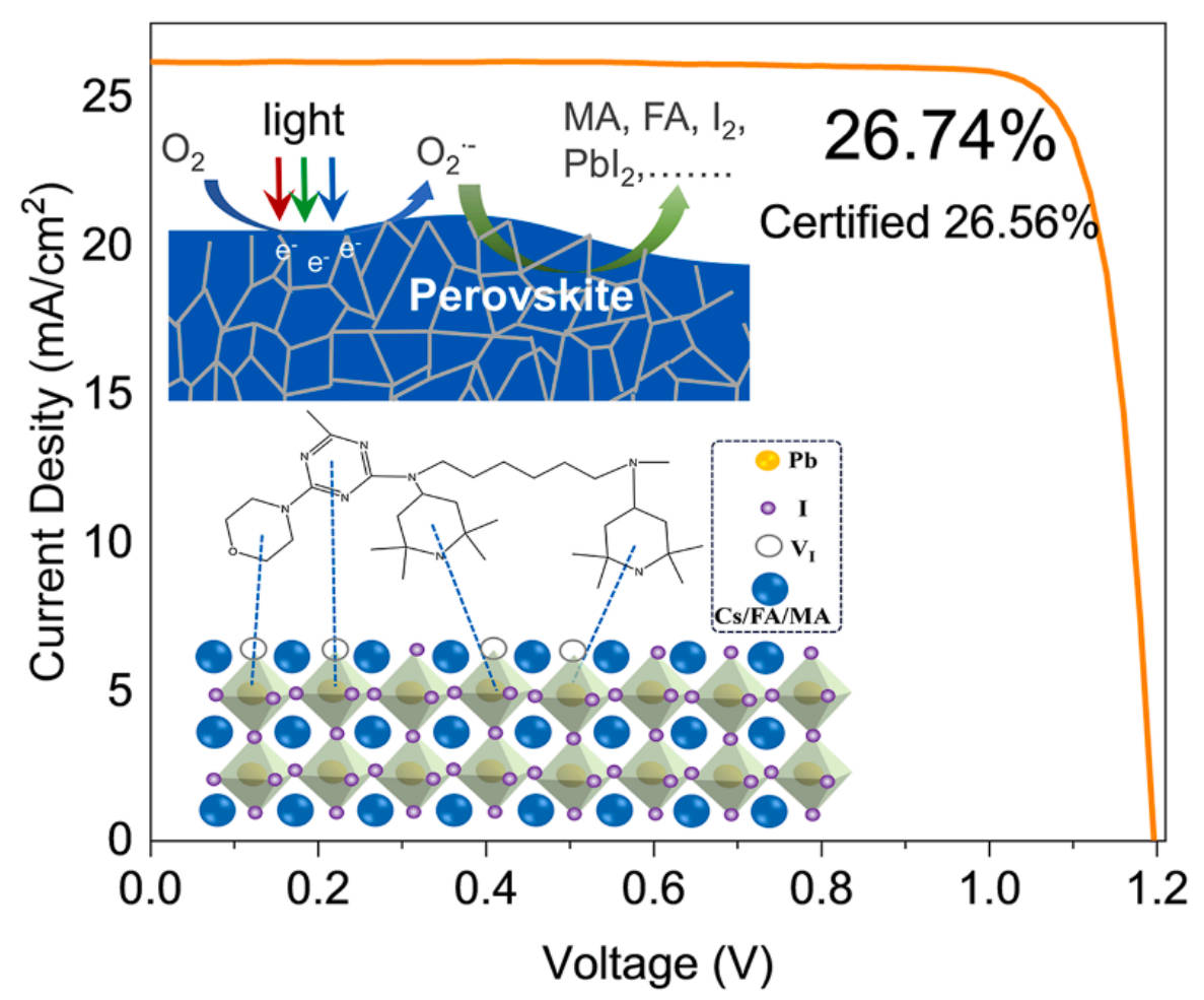 A molecular shield against light: Stabilizing perovskite solar cells at record efficiency